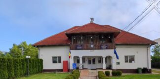 Consilier local pentru câteva luni