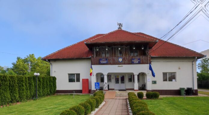 Consilier local pentru câteva luni