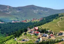 20 de copii cu dizabilități din centrele DGASPC Gorj merg în excursie la Rânca