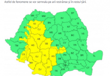 Cod galben de vreme rea