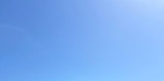 Șase luptători de la CSM, la Costinești