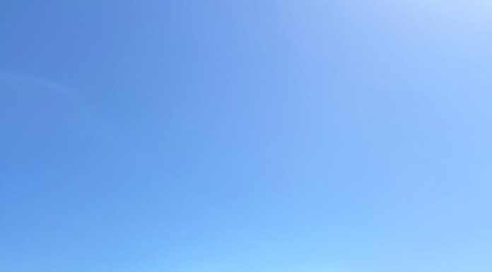 Șase luptători de la CSM, la Costinești