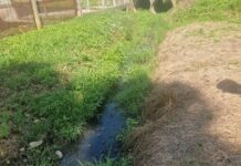 Localnic din Danești, amendat de comisarii de mediu