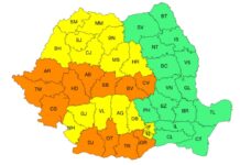 Cod galben de caniculă