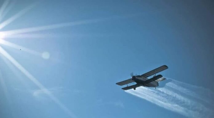 O nouă acțiune de dezinsecție la Târgu Jiu