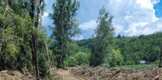 Crușeț: Lucrări de decolmatare a pârâului Văluța