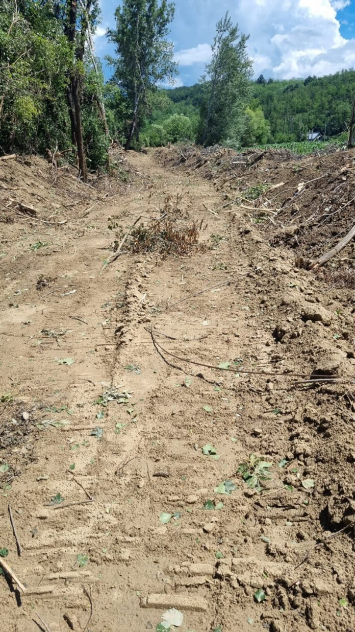 50d1bb7d-85f0-456e-83cb-624cff850f04