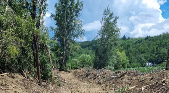 Crușeț: Lucrări de decolmatare a pârâului Văluța