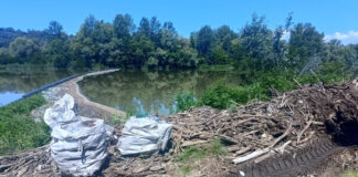 Lucrări de igienizare a Jiului, în zona Termocentralei Rovinari