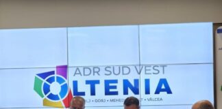 Drumul județean Târgu Jiu – Țicleni va fi modernizat