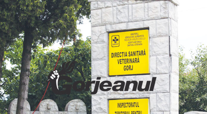 Amenzi de peste 100.000 de lei, aplicate de inspectorii sanitari-veterinari