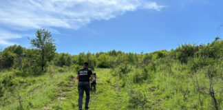 Căutat prin tufișuri, găsit la un verișor acasă!