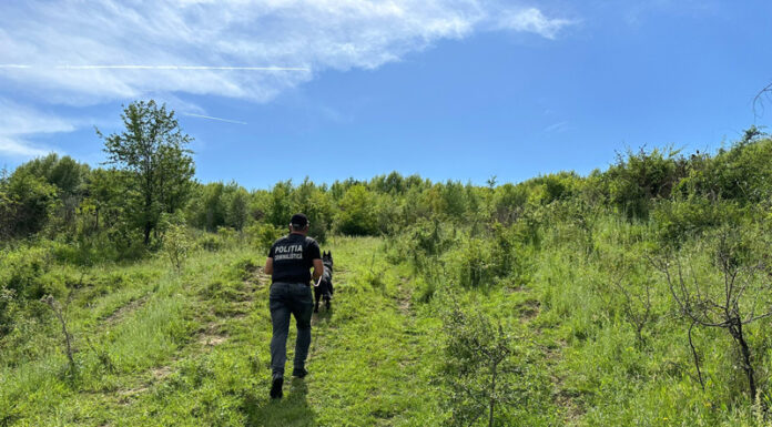 Căutat prin tufișuri, găsit la un verișor acasă!