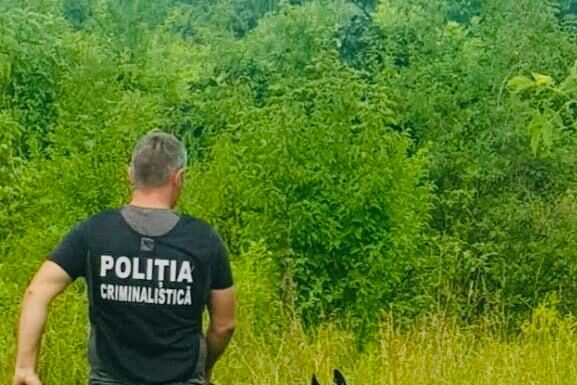 Dat dispărut de soție! A fost prins înainte de a se sinucide