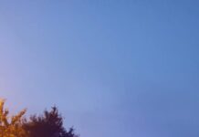 Târgu Jiu: Apartament, la un pas de incendiu. Cratiță uitată pe foc