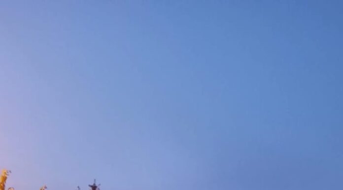 Târgu Jiu: Apartament, la un pas de incendiu. Cratiță uitată pe foc