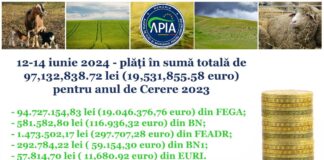 APIA: Plăți de peste 97 milioane lei pentru Campania 2023