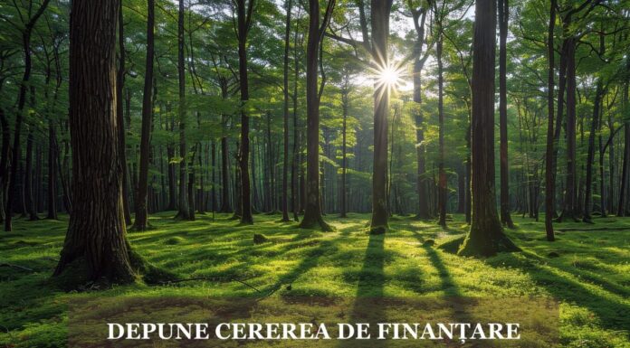 APIA primește cereri de finanțare pentru schema de ajutor de stat „Silvo-mediu și climă”