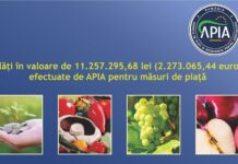 APIA: Plăți de peste 11,2 milioane lei pentru măsuri de piață