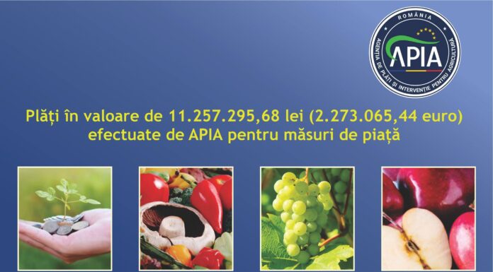 APIA: Plăți de peste 11,2 milioane lei pentru măsuri de piață