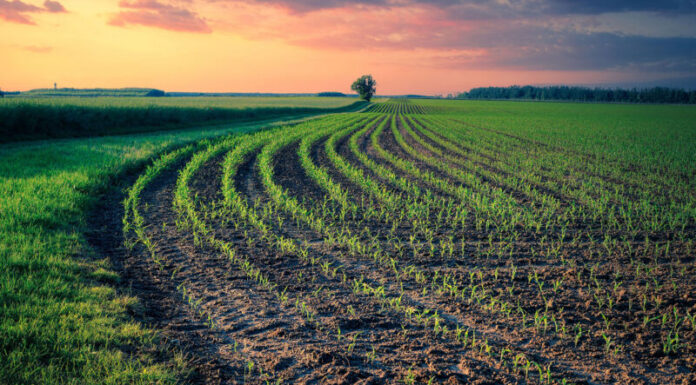 Agricultura pe înțelesul tuturor – Va fi o vară secetoasă