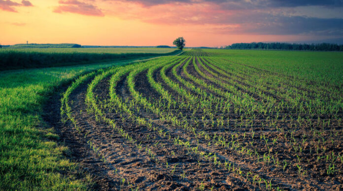 agricultura-bio-800x445