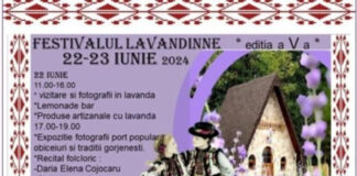 O nouă ediție a festivalului de lavandă de la Târgu Jiu!