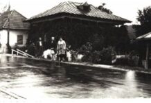 CARAGIALE ŞI ŢICLENII