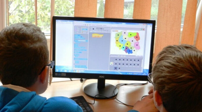 Senatul a adoptat legea privind ”majoratul online”