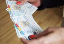 Program special pentru alegeri la Evidenţa Populaţiei Gorj. Buletine eliberate în weekend