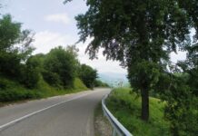 Repere estivale – De Florar, în lumea lui Iovan Iorgovan