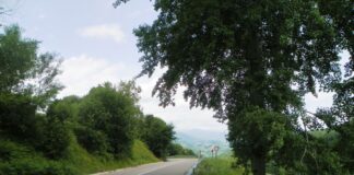 Repere estivale – De Florar, în lumea lui Iovan Iorgovan