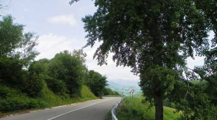 Repere estivale – De Florar, în lumea lui Iovan Iorgovan