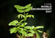 5 iunie – Ziua Mondială a Mediului