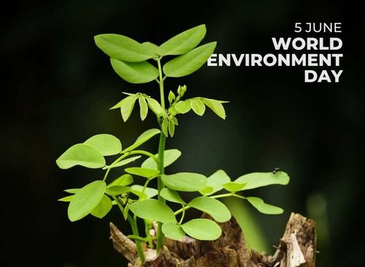 5 iunie – Ziua Mondială a Mediului
