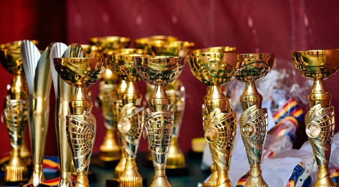 Palmaresul Festivalului Național de Balet și Dans Modern “ÎN PAȘI DE DANS SPRE INFINIT”, ediția a IX-a