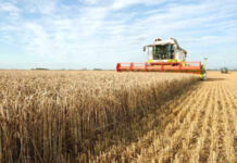 Agricultura pe înțelesul tuturor – Cum trebuie să ne pregătim de recoltat păioasele