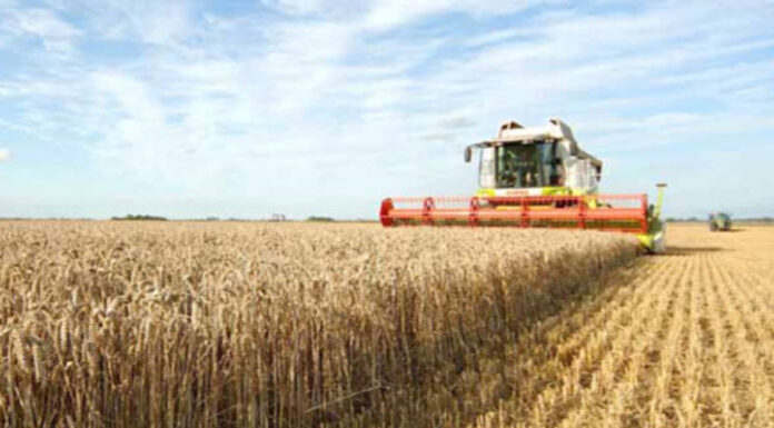 Agricultura pe înțelesul tuturor – Cum trebuie să ne pregătim de recoltat păioasele