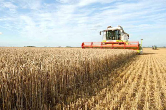 recoltarea-cerealelor-paioase