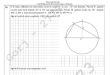 Anchetă după Evaluarea Națională