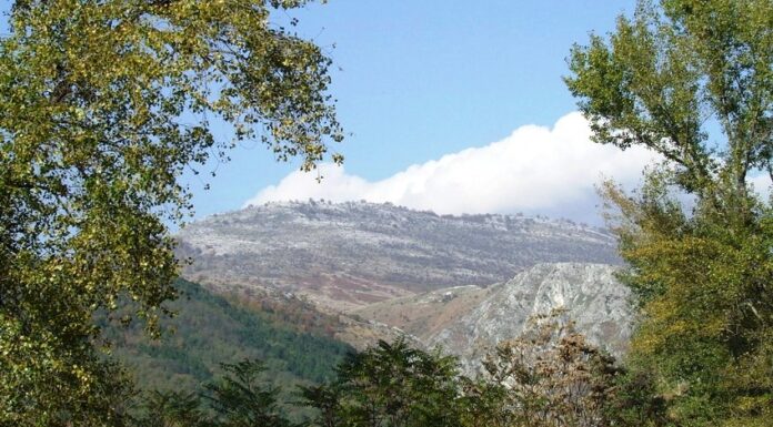 ATITUDINI ESTIVALE – În lumea salamandrelor pe Șușița Verde