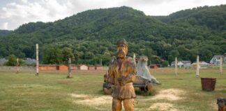 Începe o nouă ediție a Taberei de sculptură în lemn de la Polovragi