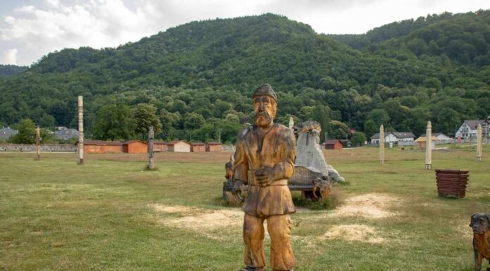 Începe o nouă ediție a Taberei de sculptură în lemn de la Polovragi