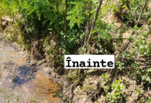 Au poluat cu țiței un pârâu din Țicleni. Amendă uriașă!