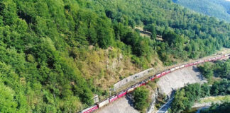 Locomotivă defectă între Lainici şi Pietrele Albe