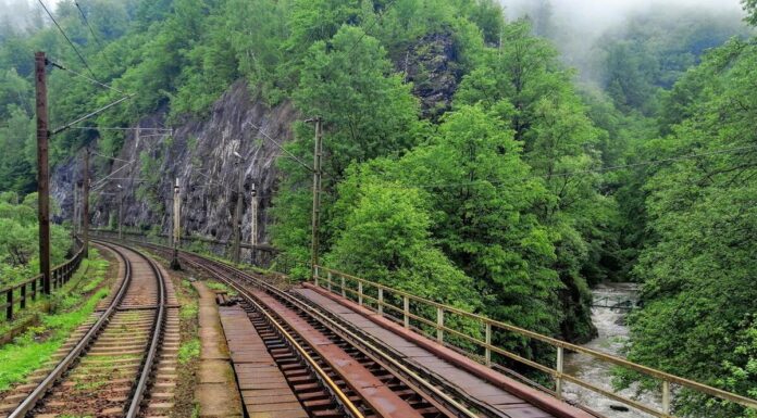 Trenuri întârziate din cauza defecțiunii unui marfar