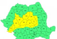 Cod galben de ploi și vijelii