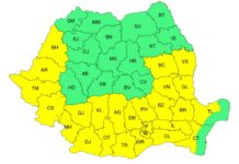 Cod galben de caniculă