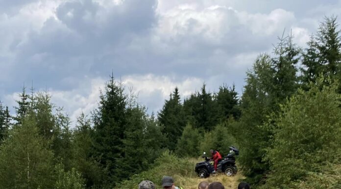 A murit pe munte, la Straja