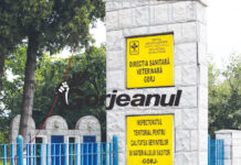 Măsuri și în Gorj pentru combaterea posibilelor focare de pestă ovină. Încep controalele la fermieri!